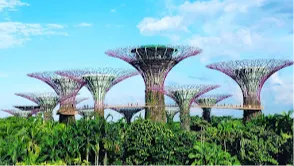 Gardens by the Bay